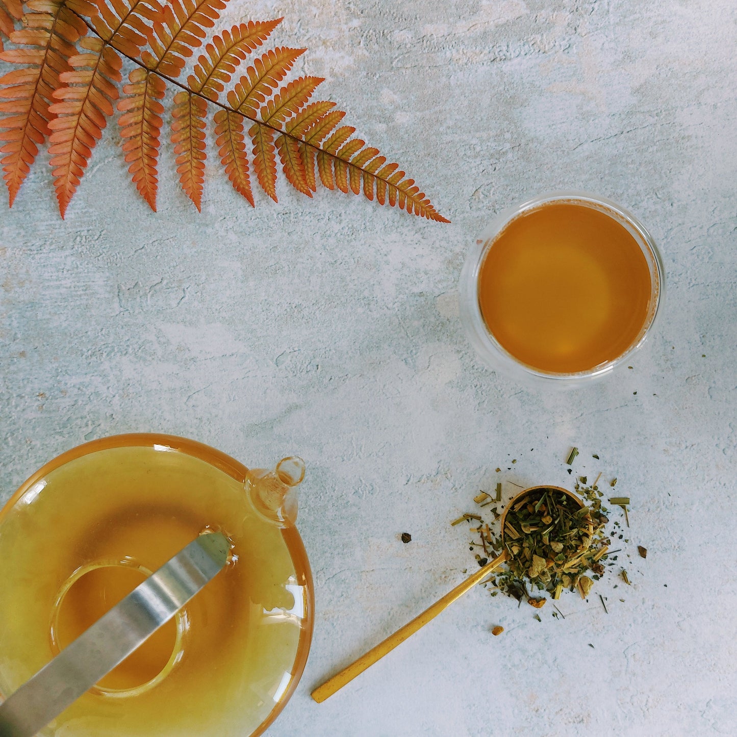 Kruiden infusie Golden Glow - TeaPot Bliss