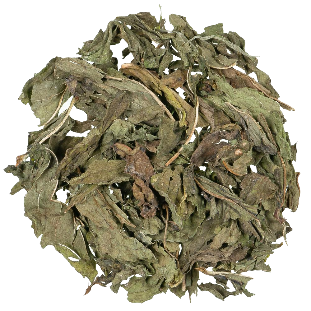 Kruiden infusie Nana Mint - TeaPot Bliss
