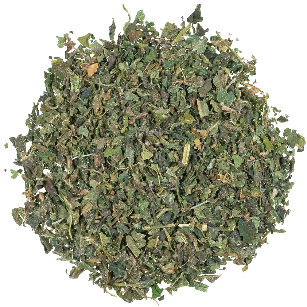 Kruiden infusie Nettle Leaves - TeaPot Bliss