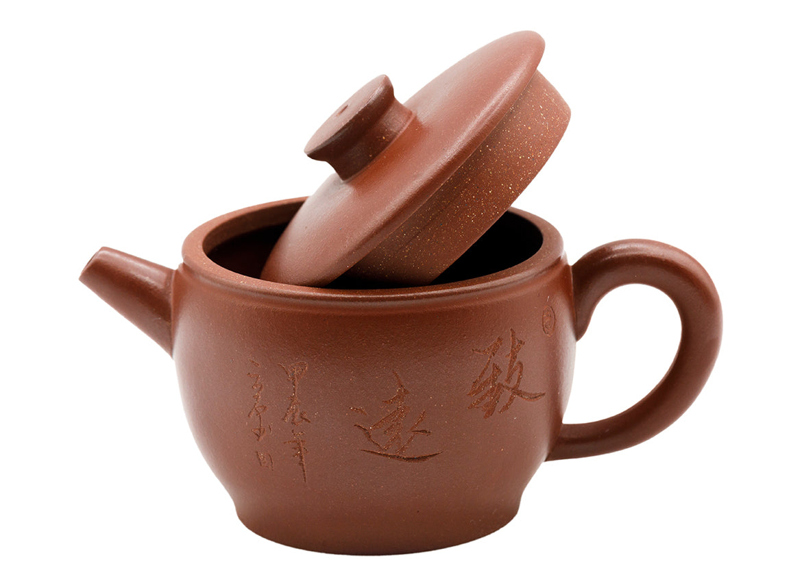 Teapot # 93626, 100 ml - TeaPot Bliss