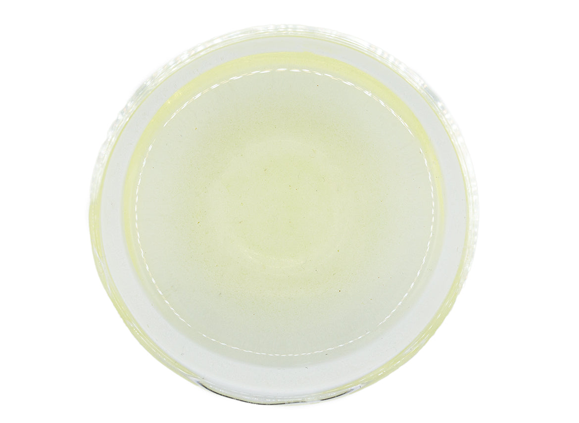 Hoshino Sencha Tsuyuhikari 50g - TeaPot Bliss