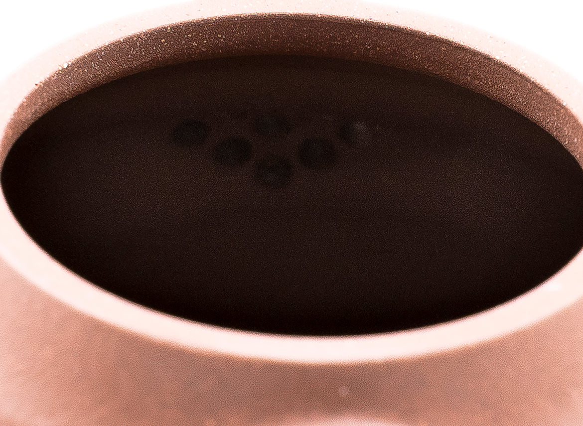 Yixing teapot # 91214 - TeaPot Bliss