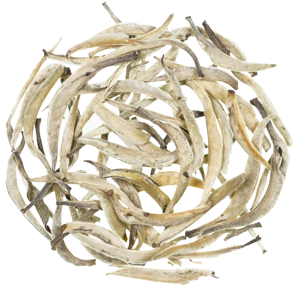 Witte thee China - Silver Needle - TeaPot Bliss