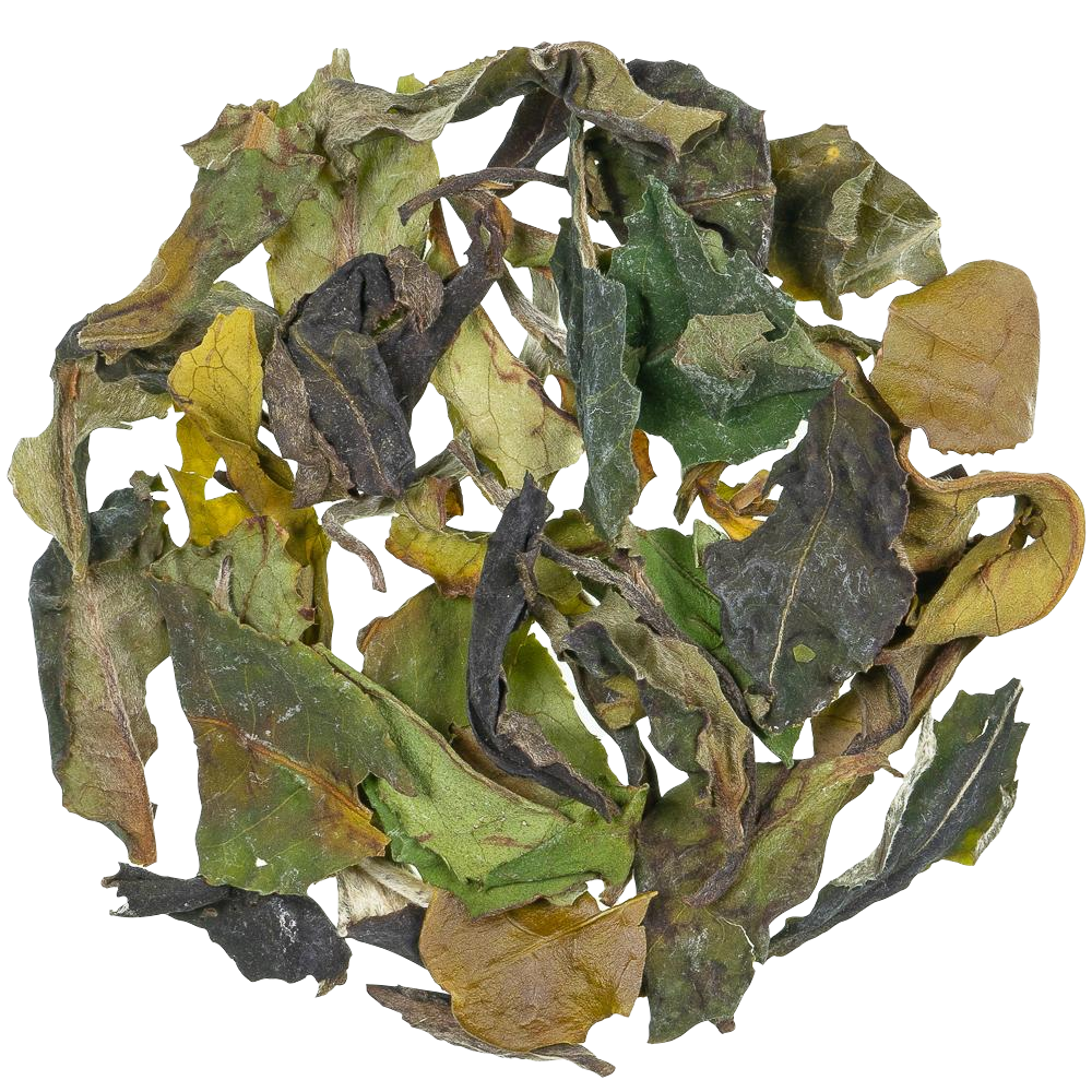 Witte thee China - Pai Mu Tan Special - TeaPot Bliss