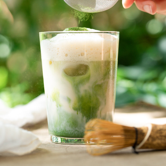 Beginners Matcha Shoshin Biologisch - TeaPot Bliss