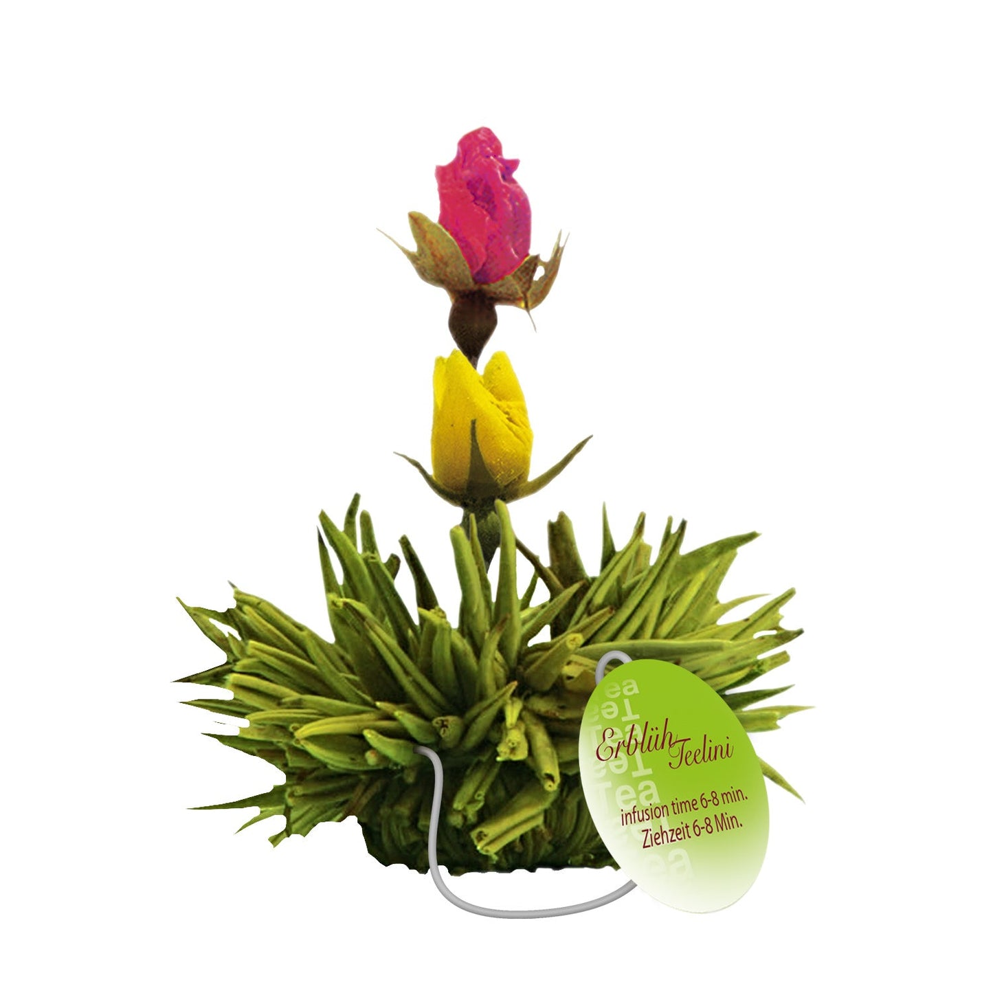 Groene theebloemen eenkops in cadeaudoosje - TeaPot Bliss