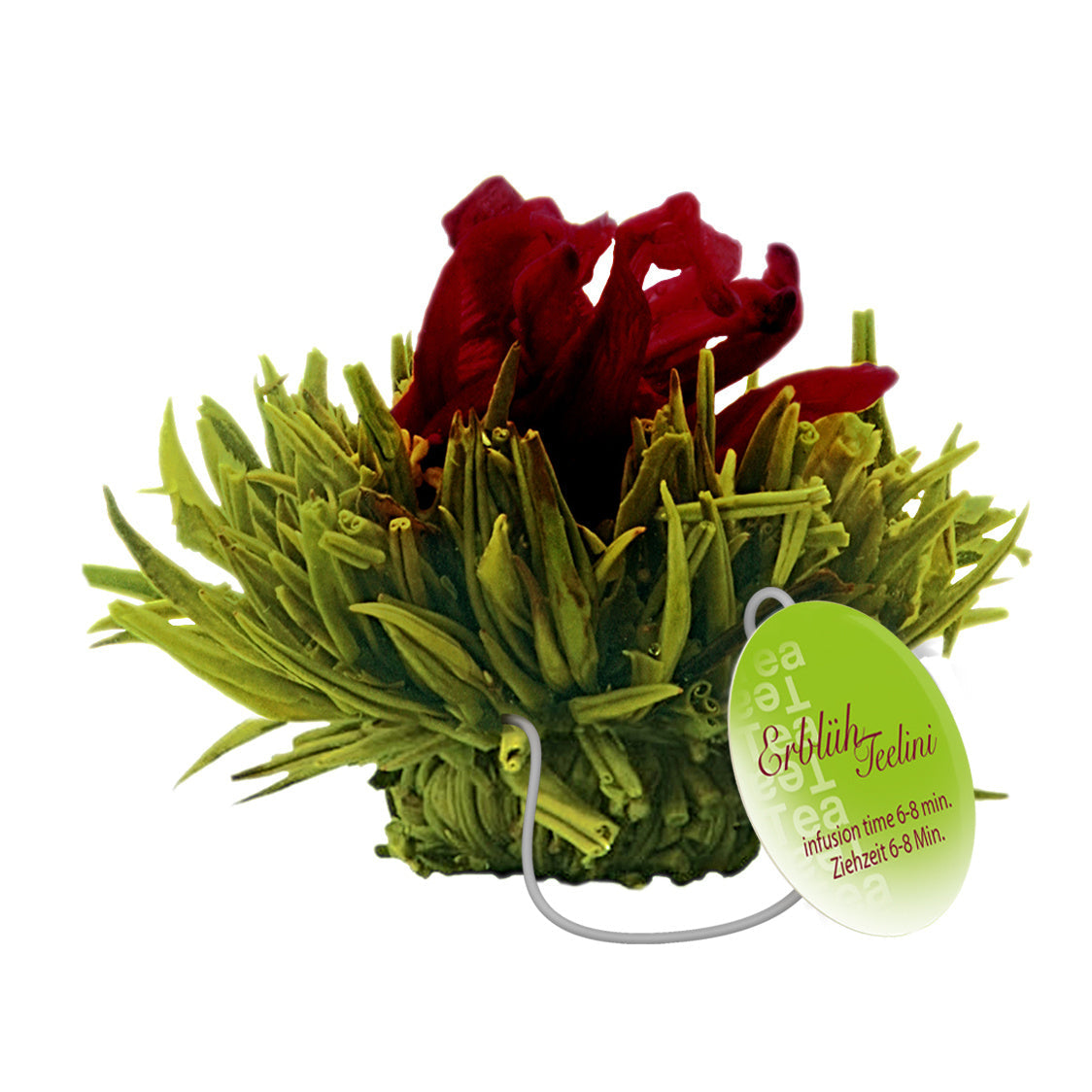 Groene theebloemen eenkops in cadeaudoosje - TeaPot Bliss