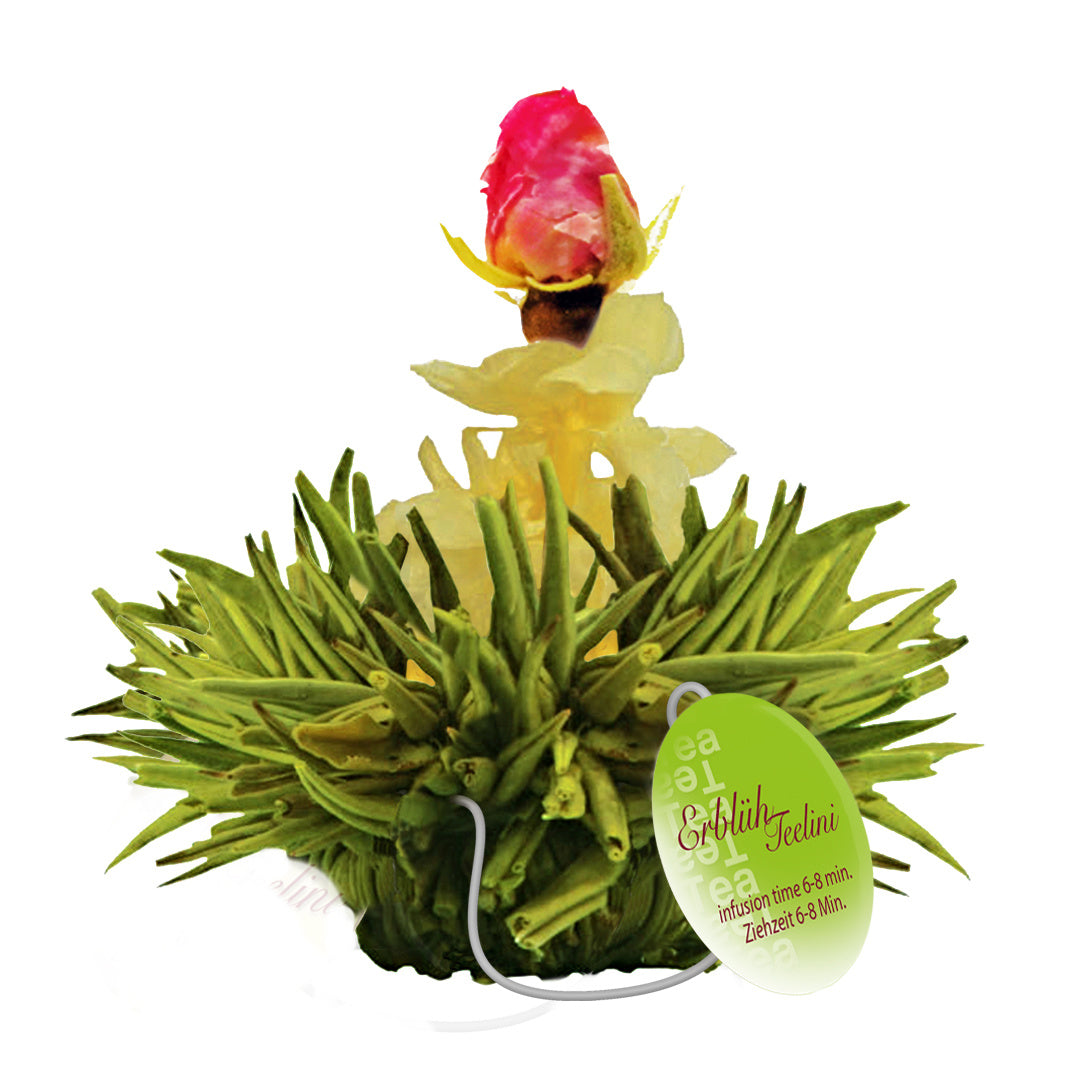 Groene theebloemen eenkops in cadeaudoosje - TeaPot Bliss