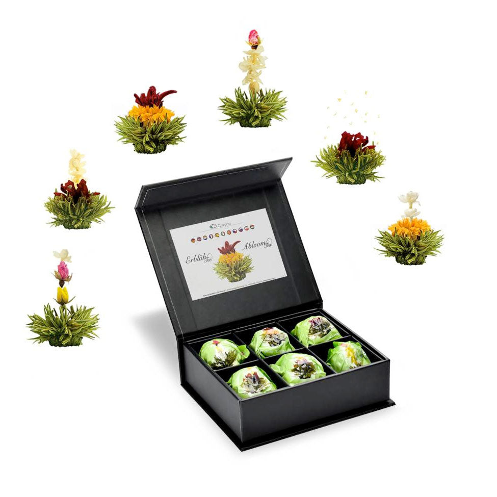Groene theebloemen in cadeaudoosje - TeaPot Bliss