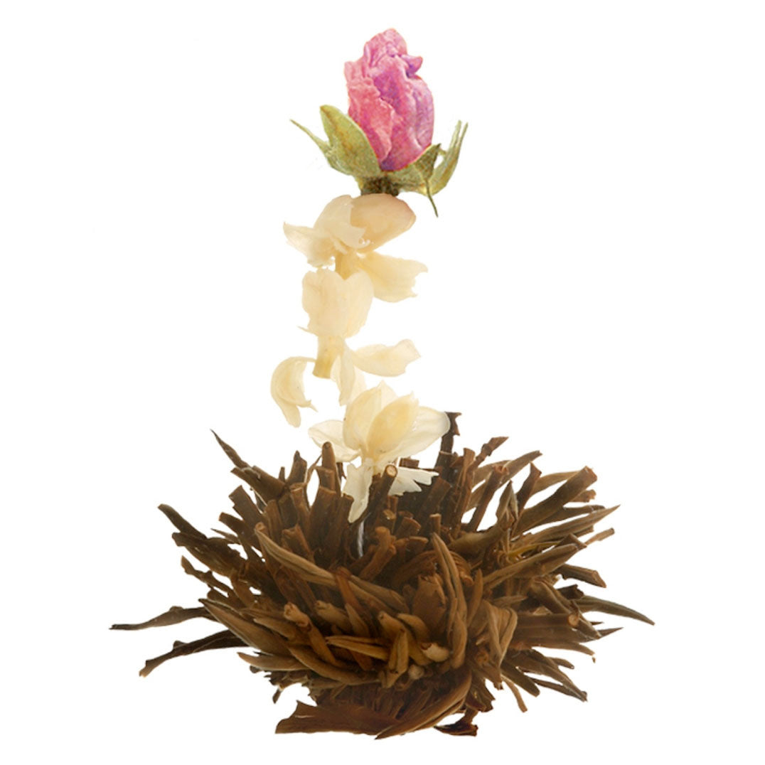 Theebloemen wit/zwart/groen in cadeaudoosje - TeaPot Bliss