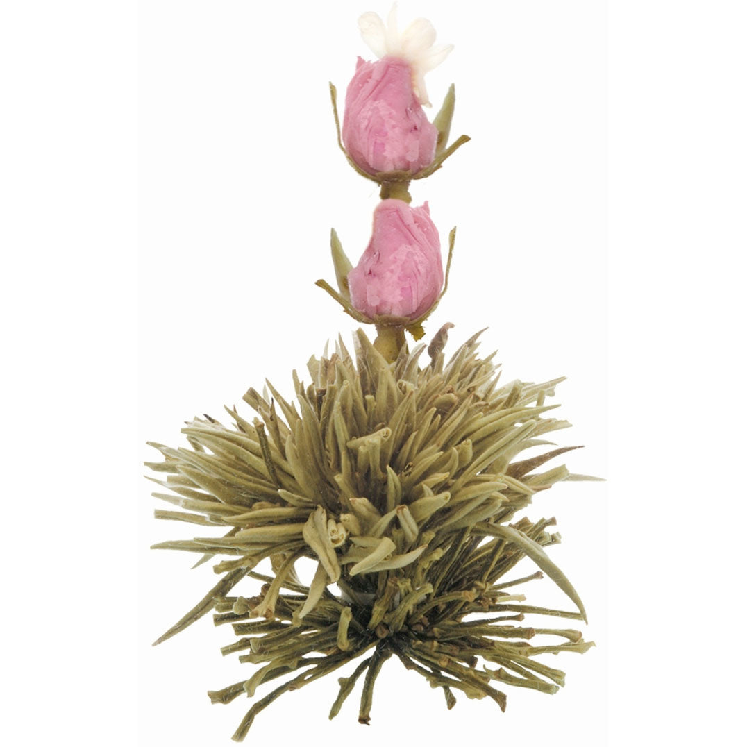 Theebloemen wit/zwart/groen in cadeaudoosje - TeaPot Bliss