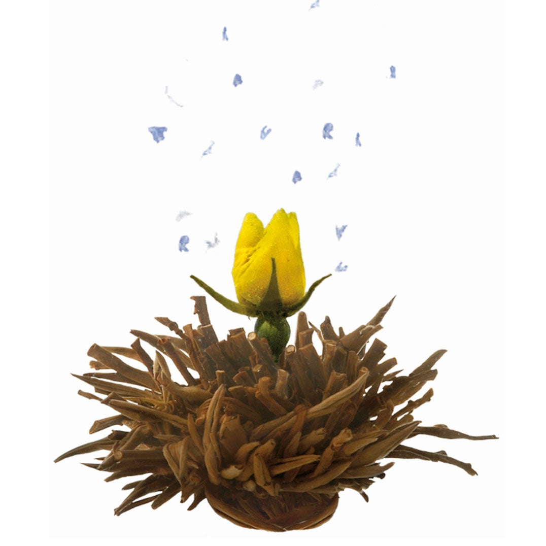 Theebloemen Zwarte thee boeket cadeaudoosje - TeaPot Bliss