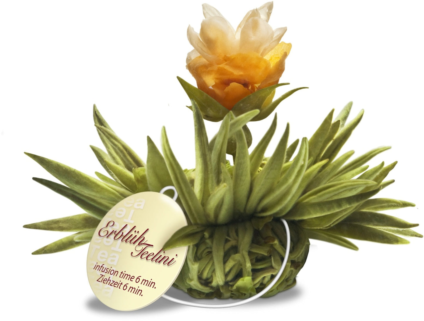 Witte theebloemen eenkops in cadeaudoosje - TeaPot Bliss
