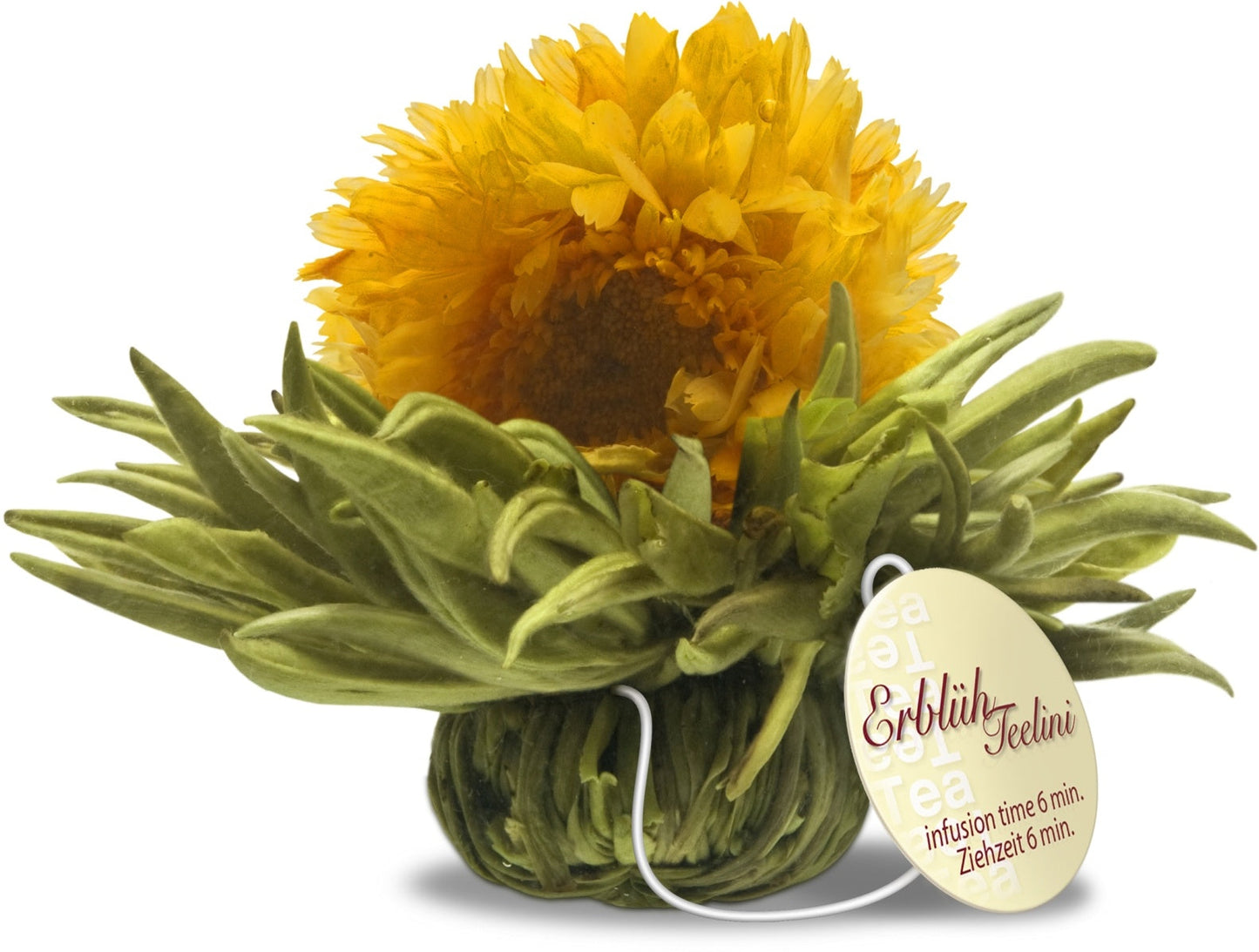 Witte theebloemen eenkops in cadeaudoosje - TeaPot Bliss