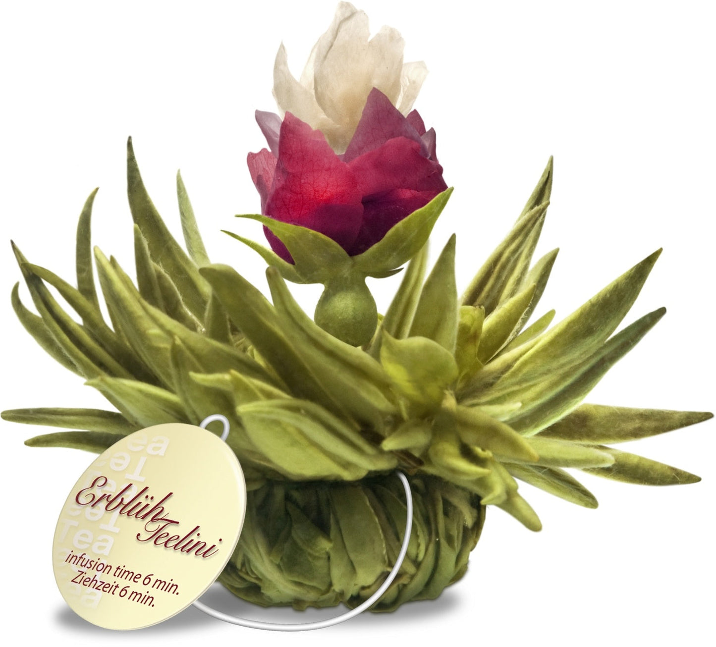 Witte theebloemen eenkops in cadeaudoosje - TeaPot Bliss