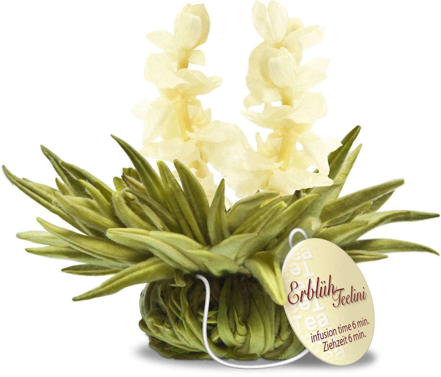 Witte theebloemen eenkops in cadeaudoosje - TeaPot Bliss