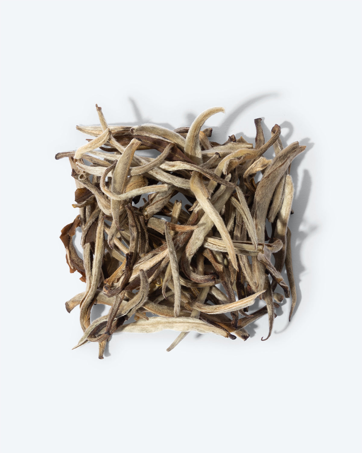 Jasmine Tea Selection - TeaPot Bliss