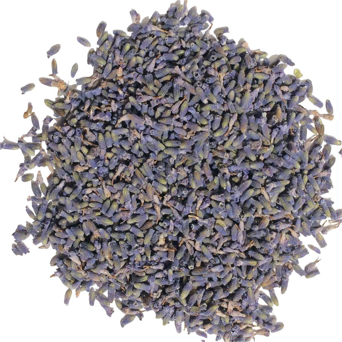Kruiden infusie Lavender - TeaPot Bliss