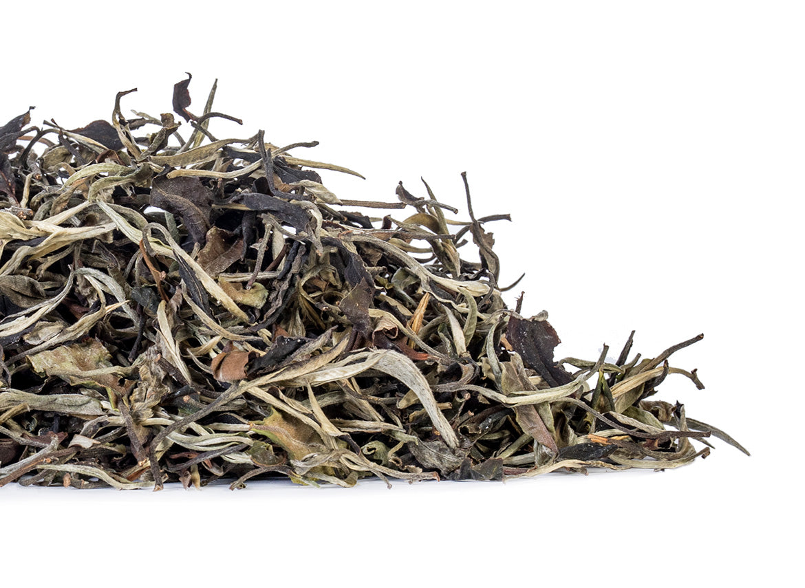 Thai White Tea from wild trees (Spring 2024) - TeaPot Bliss