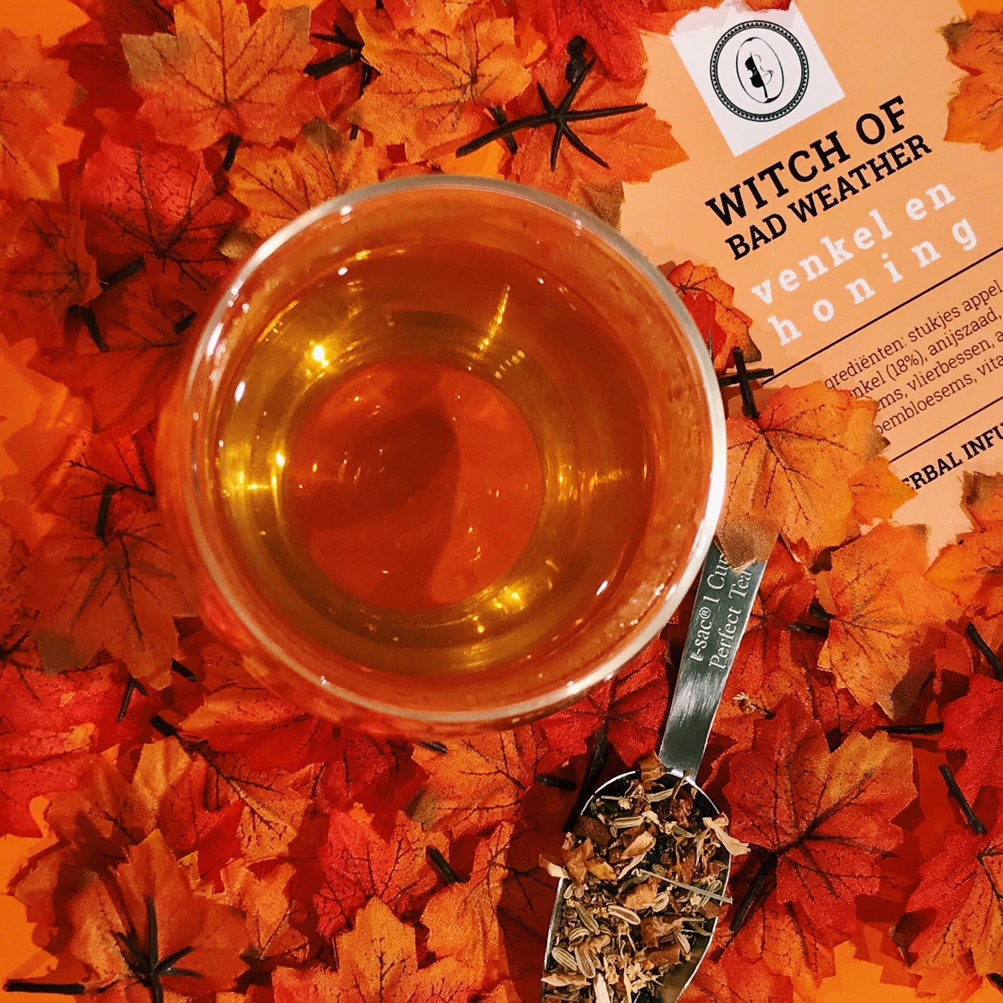 Kruiden infusie Witch Of Bad Weather - TeaPot Bliss