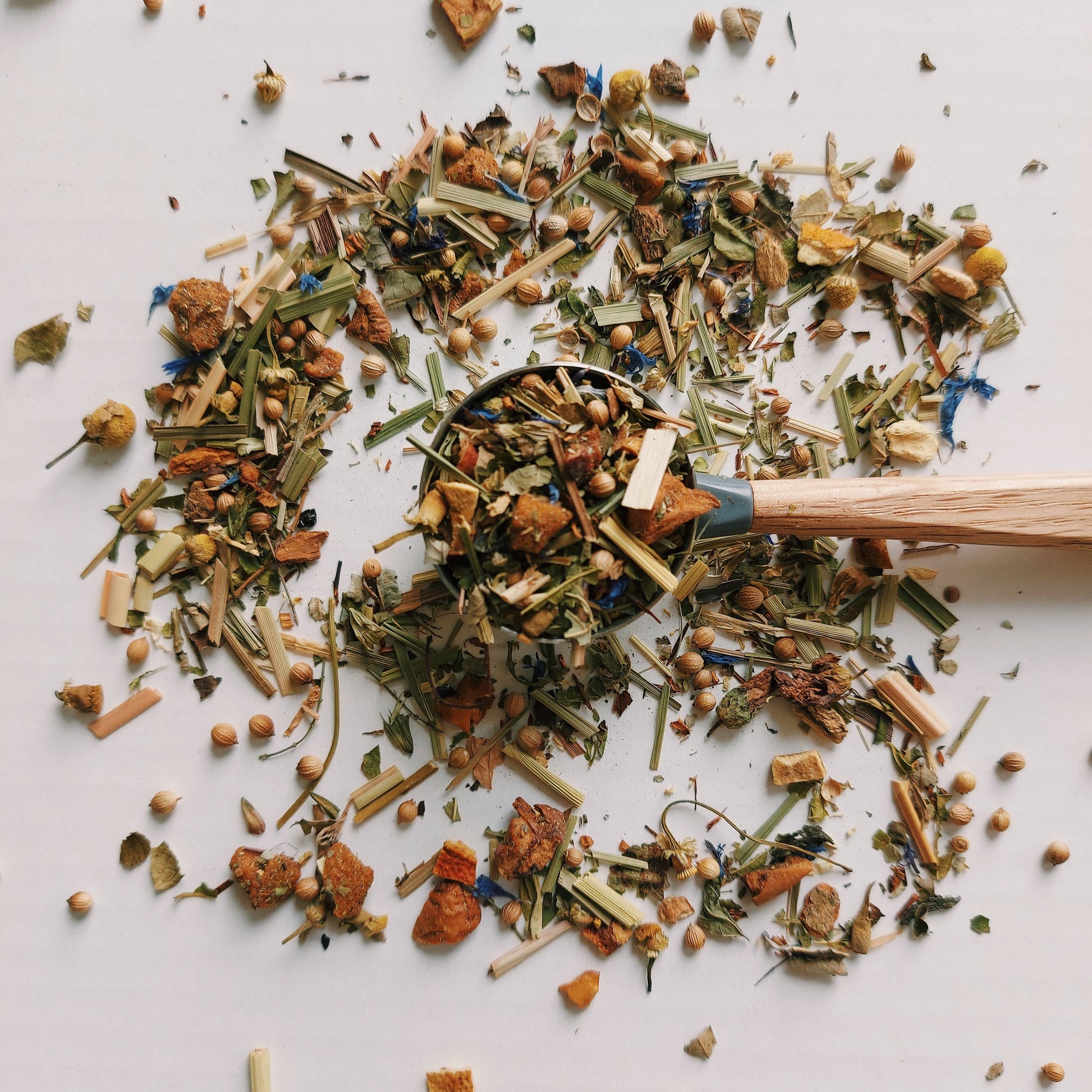 Kruiden infusie Moment of Happiness - TeaPot Bliss