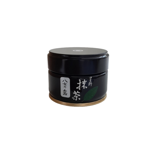 Groene thee Japan - Yame No Tsuyu - TeaPot Bliss