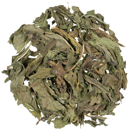 Kruiden infusie Nana Mint - TeaPot Bliss