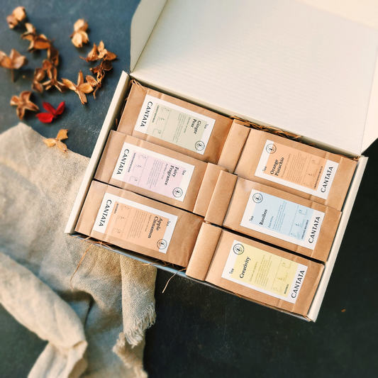 Discover Rooibos Thee - TeaPot Bliss