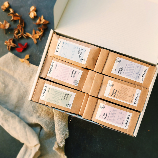 Discover Witte Thee - TeaPot Bliss