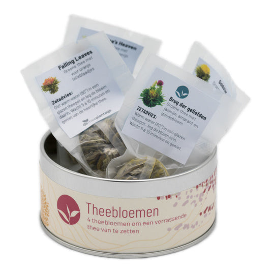 4 theebloemen in een blikje - TeaPot Bliss