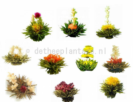 Theebloemen assorti - bulk - TeaPot Bliss