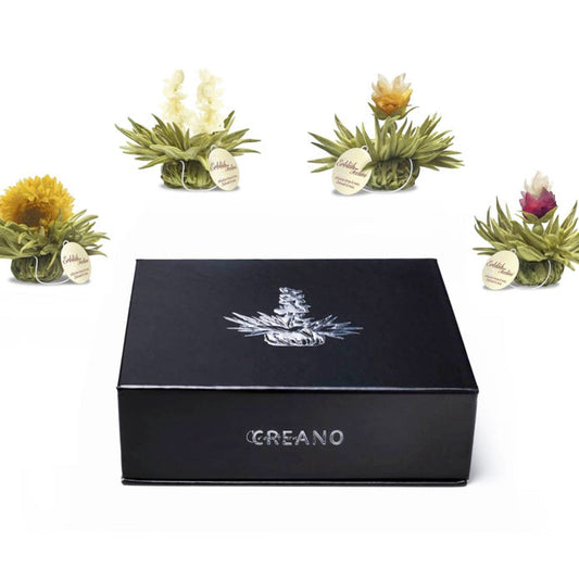 Witte theebloemen eenkops in cadeaudoosje - TeaPot Bliss
