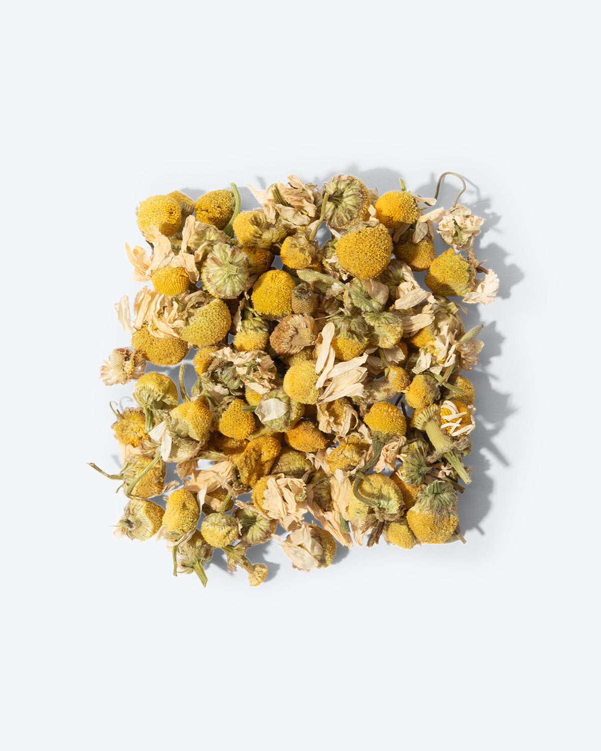Chamomile Blossoms - TeaPot Bliss