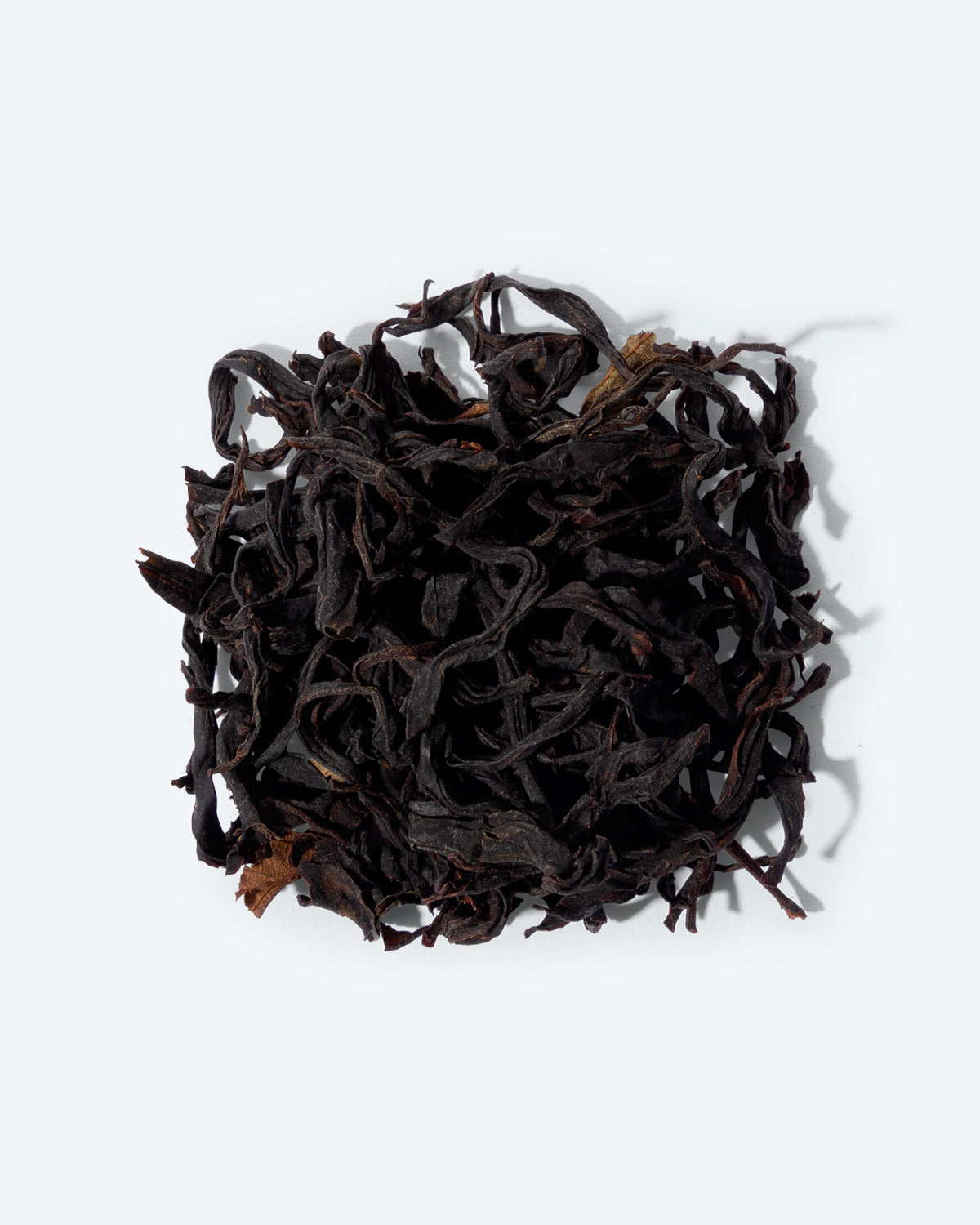 Koucha Sakura - TeaPot Bliss