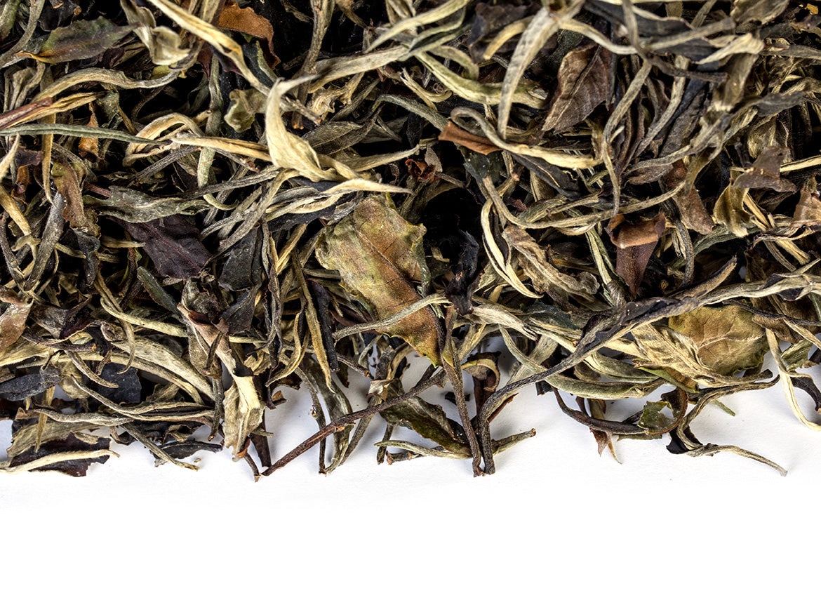 Thai White Tea from wild trees (Spring 2024) - TeaPot Bliss