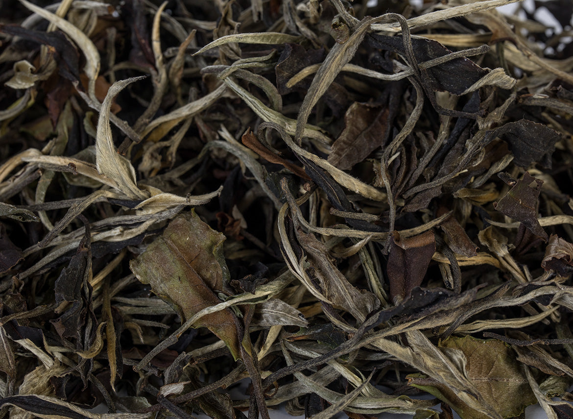 Thai White Tea from wild trees (Spring 2024) - TeaPot Bliss