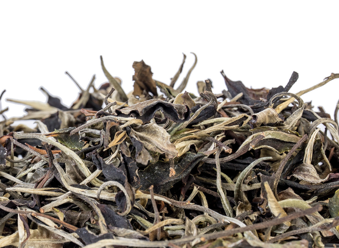 Thai White Tea from wild trees (Spring 2024) - TeaPot Bliss