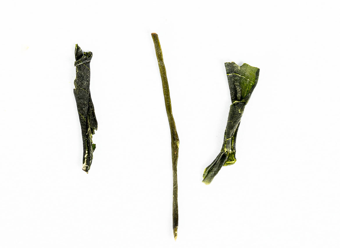 Gyokuro Moychay 25 g - TeaPot Bliss