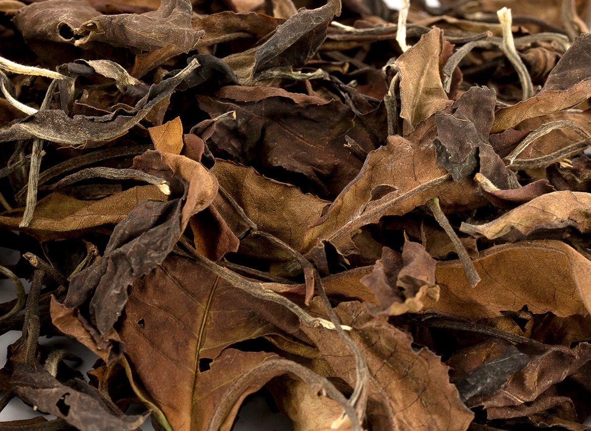 Exclusive Dutch White tea 50g - TeaPot Bliss