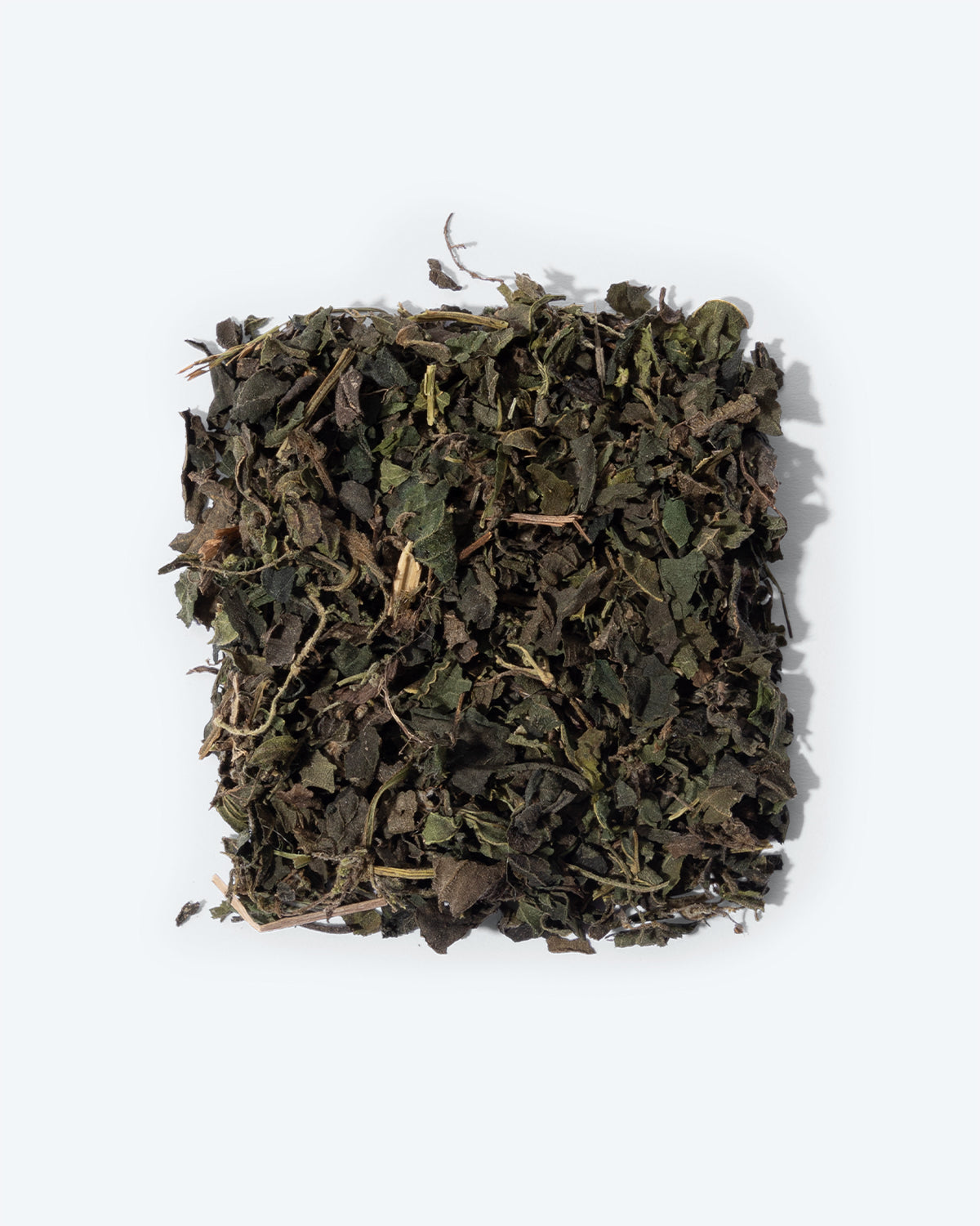 Brandnetel - TeaPot Bliss