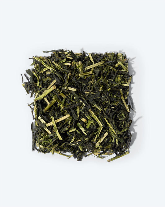 Shiraore - TeaPot Bliss