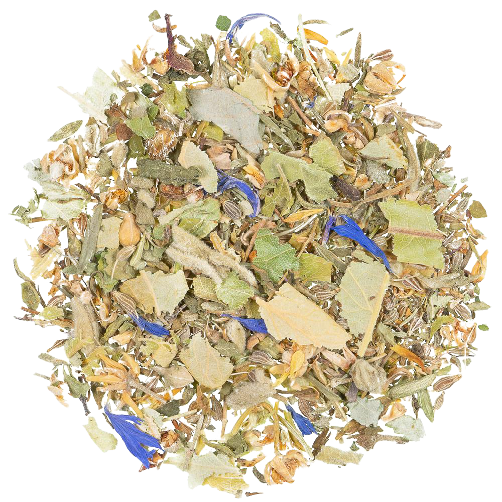Kruiden infusie Thyme Joker - TeaPot Bliss